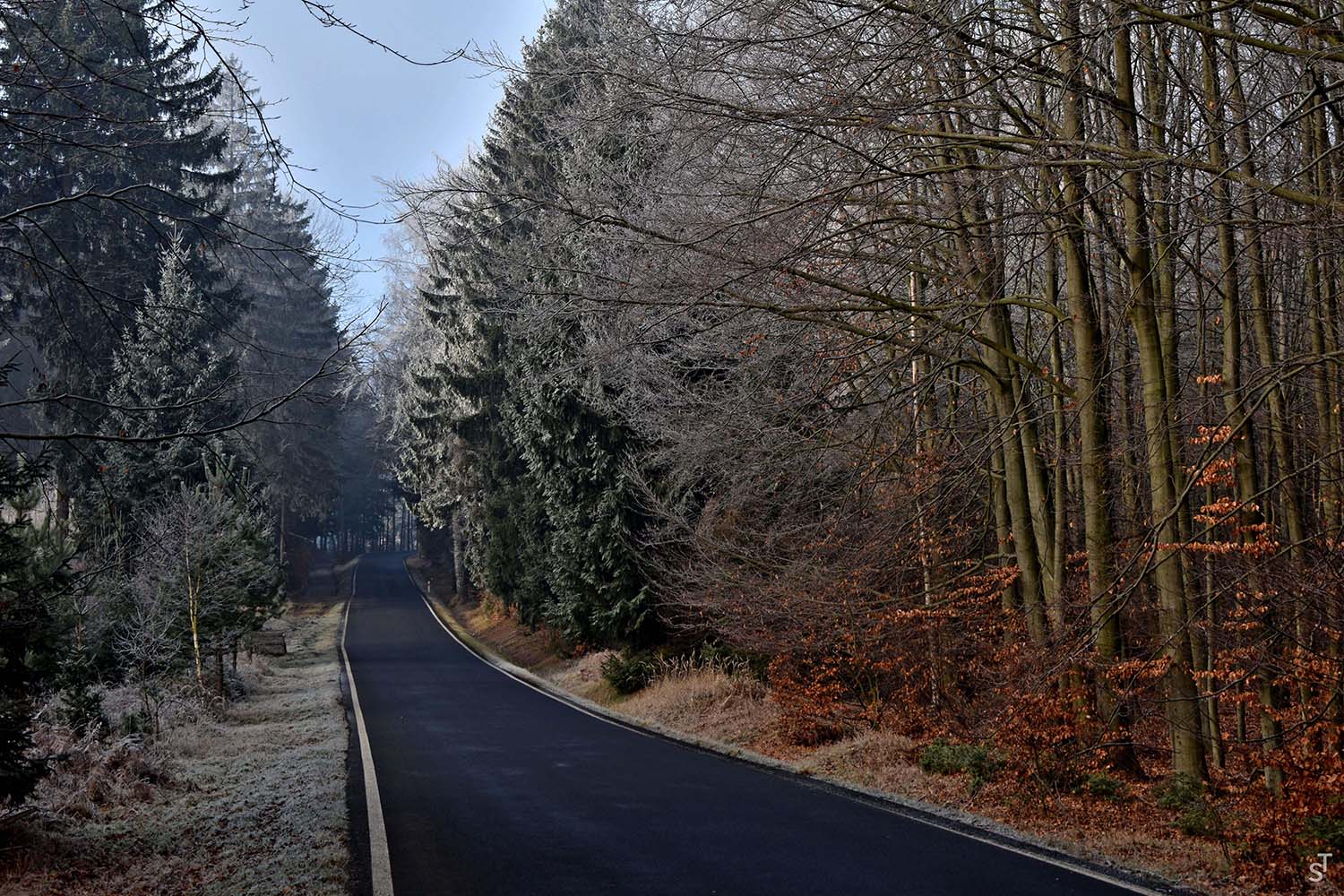 Autumn Road