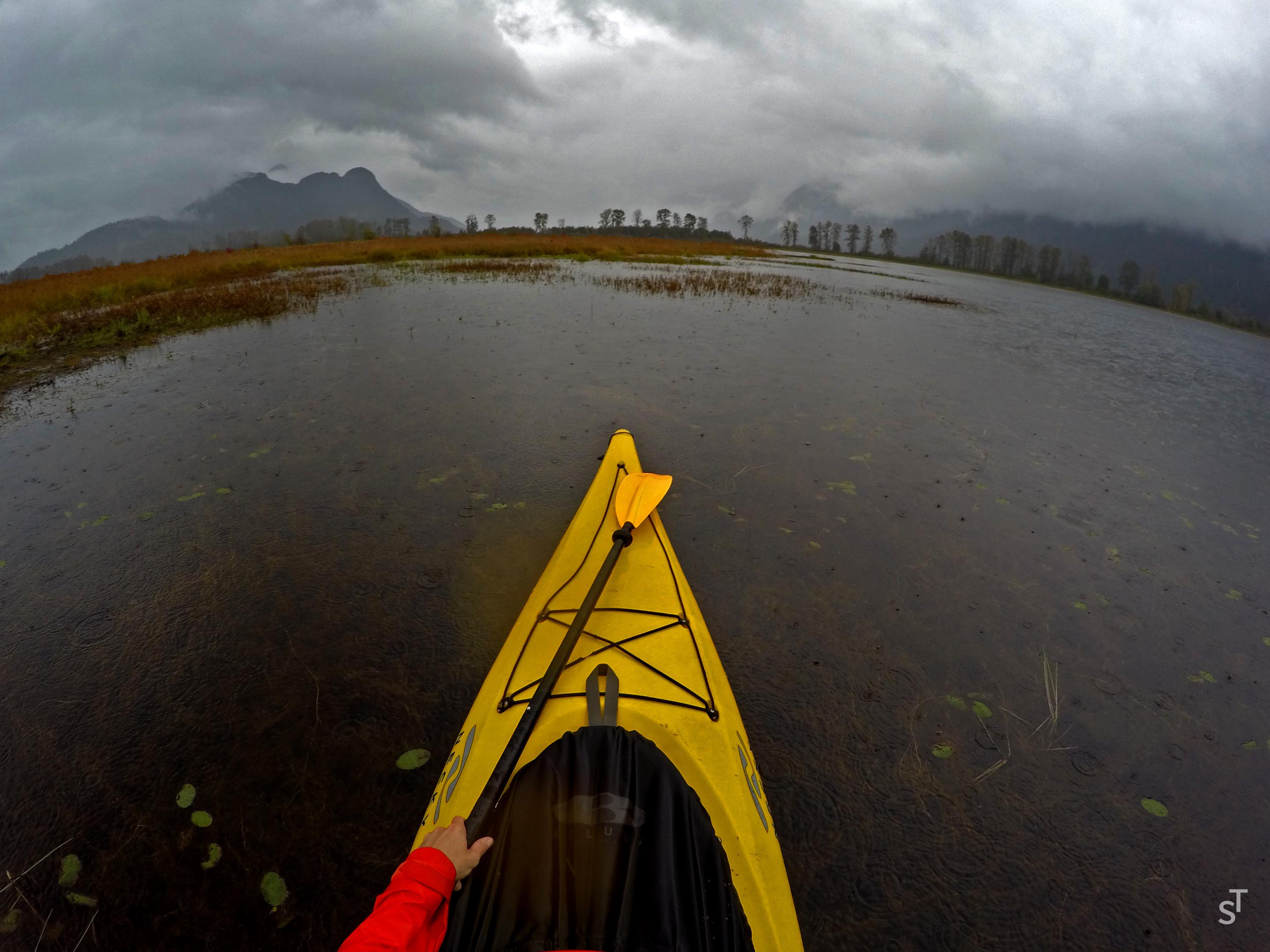 Kayaking in Pitt Meadows