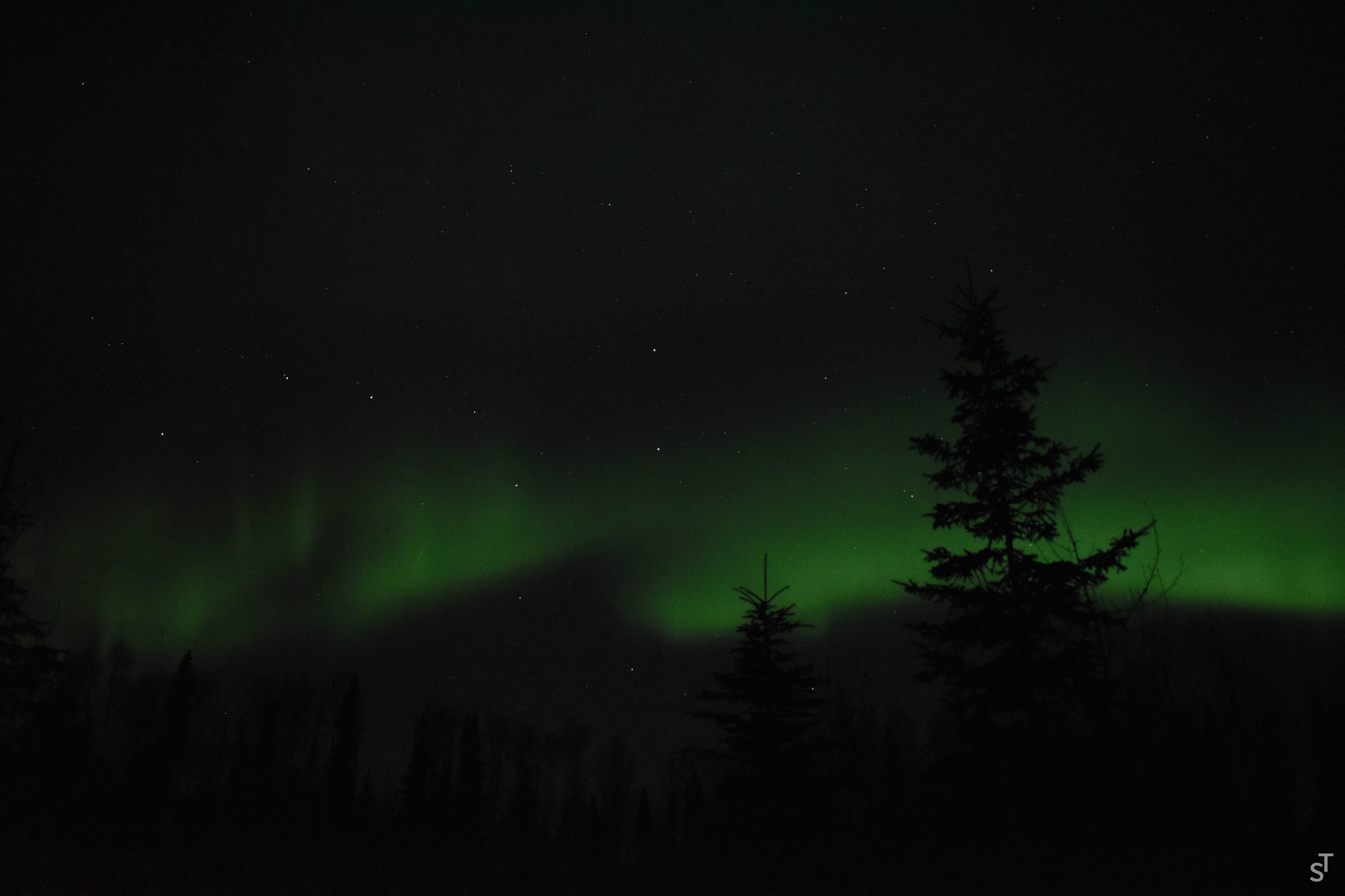 Aurora Borealis near Fort Nelson