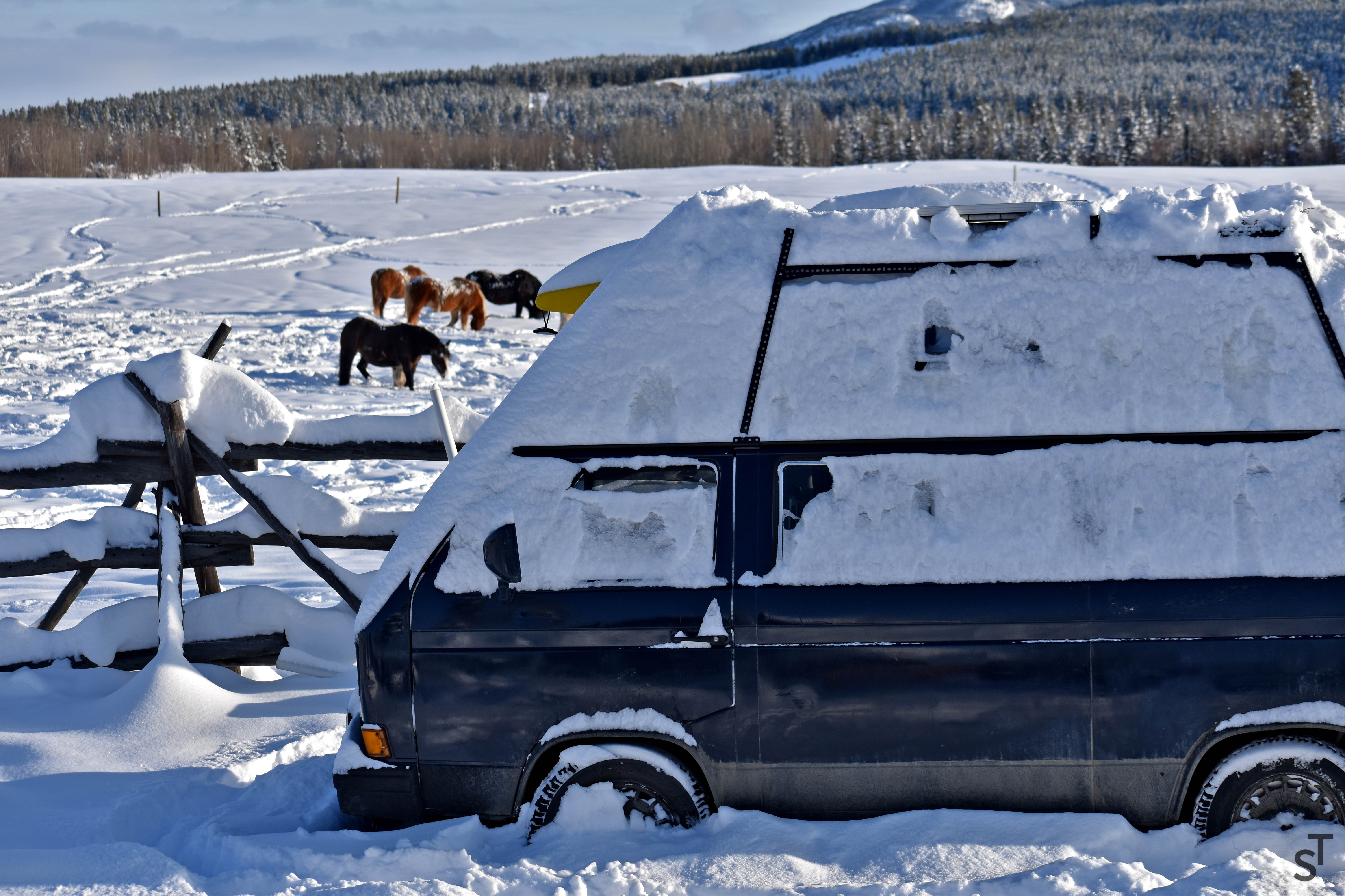 Snowed in near Whitehorse